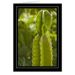 Cactus Blank Note Card