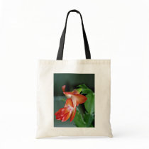 Cactus blossom, Edmonton, Canada  flowers Canvas Bags