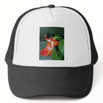 Cactus blossom, Edmonton, Canada  flowers Trucker Hat