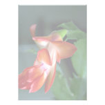 Cactus blossom, Edmonton, Canada Personalized Invites