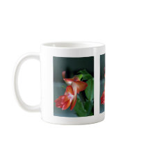 Cactus blossom, Edmonton, Canada Mug
