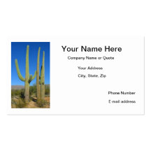 Cactus Cards Business Card Template
