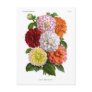 Cactus Dahlias Postcard