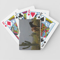 Cactus de Saguaro du désert de Sonoran : : Cheval  jeux de cartes