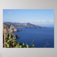 Cactus et Vulcano Posters