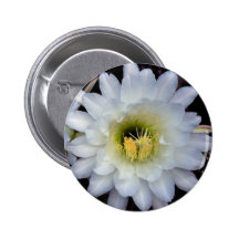 Cactus Flower 4355 Button