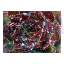 Cactus Flower Holiday Card