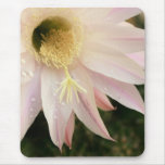 Cactus Flower Mouse Pad