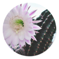 Cactus Flower White Round Stickers