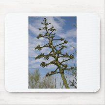 Cactus from the Arizona Collection Mousepad