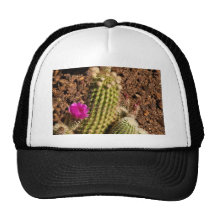 Cactus hat