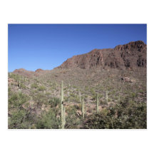 Cactus Landscape Post Cards