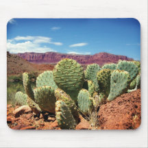Cactus on the Colorado Mousepad