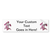 Cactus pink and white flower, succulent bloom bumper stickers