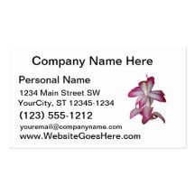 Cactus pink and white flower, succulent bloom business cards