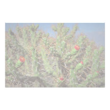 Cactus plant, Colca Canyon, Peru, South America De Personalized Stationery