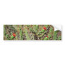 Cactus plant, Colca Canyon, Peru, South America  f Bumper Stickers