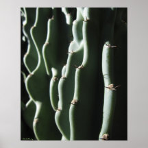 Cactus Ridges Posters
