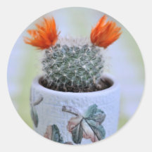 Cactus sticker