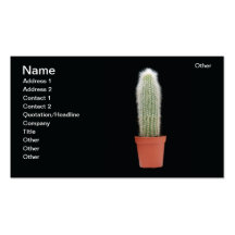 Cactus vase business cards