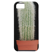 Cactus vase iPhone 5 cases