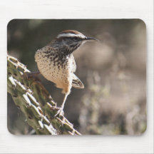 Cactus Wren Mousepad