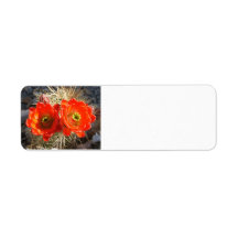Cacus blossom return labels