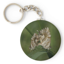 Cacyreus marshalli - geranium blue keychains
