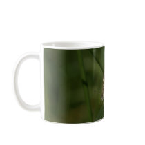 Cacyreus marshalli - geranium blue coffee mug