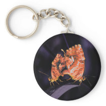 Cacyreus marshalli - neon version keychains