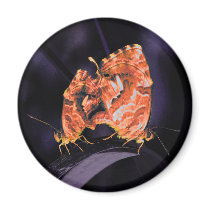 Cacyreus marshalli - neon version magnet