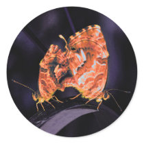 Cacyreus marshalli - neon version round stickers