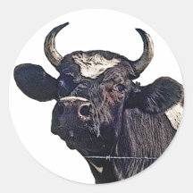 Cadeau de bétail du Holstein Adhésif Rond