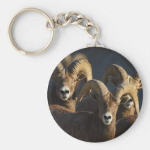 Cadeau de Merci Porte-clef