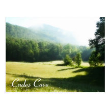 Cades Cove Morning Fog Postcard