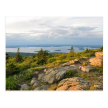 Cadillac Mountain Acadia National Park Postcard postcards