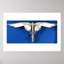 Caduceus -Symbol of the Healing Arts Posters
