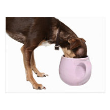 Caffeine addiction postcard