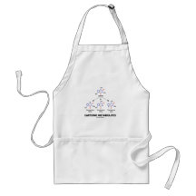 Caffeine Metabolites (Caffeine Molecule Chemistry) Apron