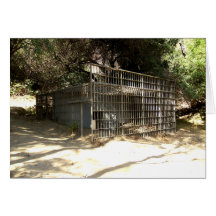 Cage abandonnée au vieux zoo de LA Cartes De Vœux