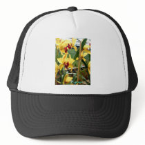 Cage of Canary Cymbidiums