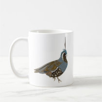 Cailles tasses