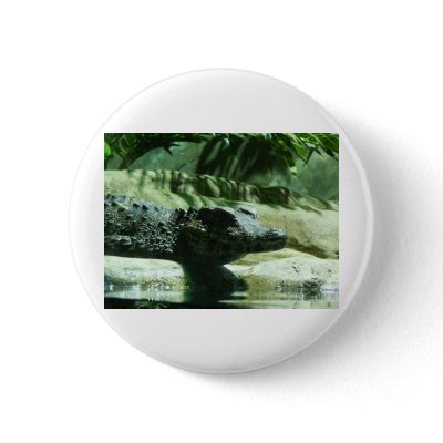 caiman alligator pins by pinkypetals