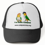Caique Hat