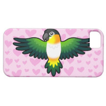 Caique / Lovebird / Pionus / Parrot Love