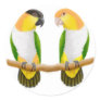 Caique Parrot Love Sticker