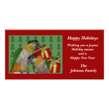 Caique Parrots Animal Christmas Holiday Card Photo Greeting Card