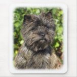 Cairn Terrier 9W048D-142_2 Mouse Mat