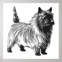 Cairn Terrier Dog Print