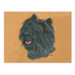 Cairn Terrier noir Cartes Postales
